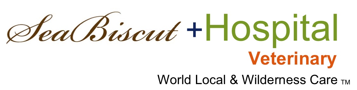 Seabiscuit Veterinary